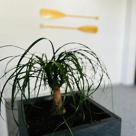 Flauta アパート Jastrzębia Góra