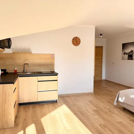 Flauta - Cisza I Spokój, Parking, Wifi, Balkon, Aneks Kuchenny Apartamento
